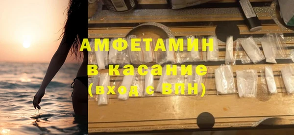 индика Михайлов