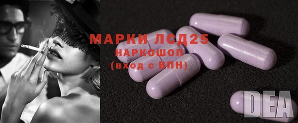 индика Михайлов