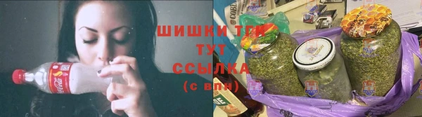 индика Михайлов