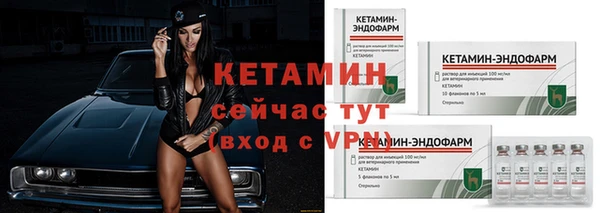 индика Михайлов