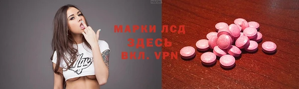 индика Михайлов