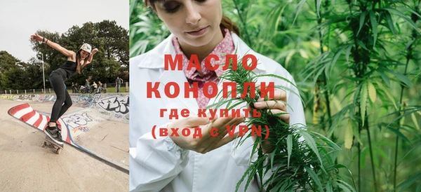 индика Михайлов