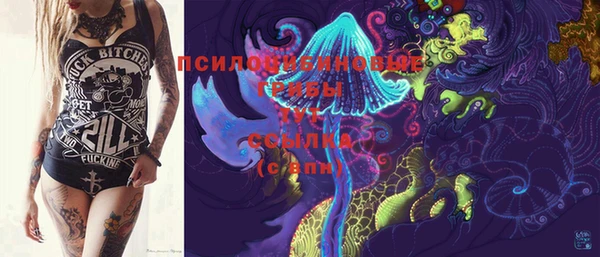 индика Михайлов