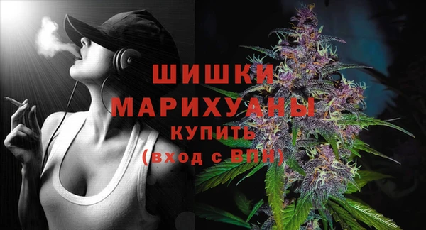 индика Михайлов