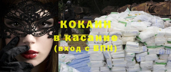 индика Михайлов