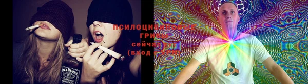каннабис Михайловск